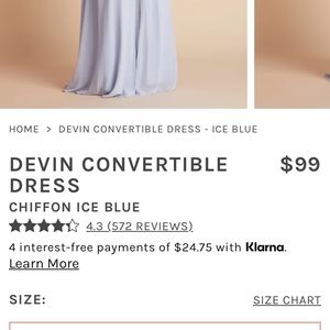 Birdy Grey S Devin convertible bridesmaid dress